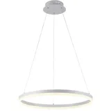 Paul Neuhaus Titus Pendelleuchte LED, 2382-16,