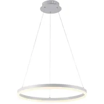 Paul Neuhaus Titus Pendelleuchte LED, 2382-16,