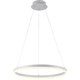 Paul Neuhaus Titus Pendelleuchte LED, 2382-16,