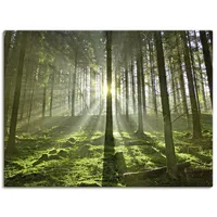 ARTland Wandbild »Wald im Gegenlicht«, Wald, (1 St.), als