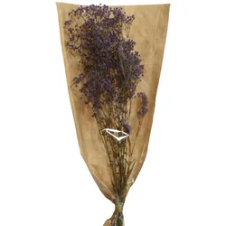 Decoris Schleierkraut 50cm Trockenblumenstrauß Trockenpflanzen getrockneter Gypsophila