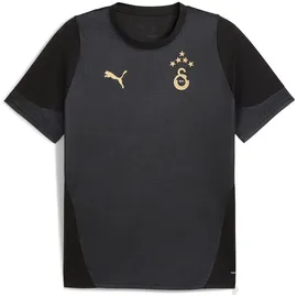 Puma Galatasaray Istanbul Trainingsshirt schwarz M