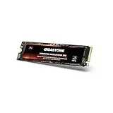 Gigastone HPC Computing M.2 SSD 2TB PCIe 4.0 NVMe SSD 5,000MB/s Host Speicherpuffer Cache beschleunigt Geschwindigkeitskodierung Big Data Intensive Arbeitslasten internes Solid-State-Laufwerk