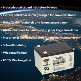 YUASA Blei-Akku REC14-12 12V 14Ah Zyklenfest, Faston 6,3mm