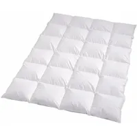 Traumschlaf Daunendecke Arktis warm, Füllung: 90% Daunen, 10% Federn 155x220 cm - weiß