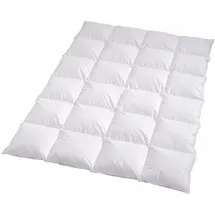 Traumschlaf Daunendecke Arktis warm, Füllung: 90% Daunen, 10% Federn 155x220 cm - weiß