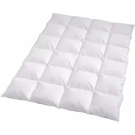Traumschlaf Daunendecke Arktis warm, Füllung: 90% Daunen, 10% Federn 155x220 cm - weiß