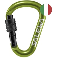 Salewa HMS Screw G2 Small Snap Hook Grün,Grün