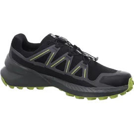 Salomon Speedcross Peak Gore-Tex 477905 schwarz 45 1⁄3 / 45 1⁄3