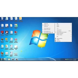 microsoft window 7