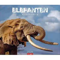 Weingarten Elefanten Kalender 2026 / Kalender