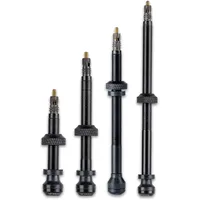 Schwalbe Tubeless Ventil 40 mm schwarz 2er Set