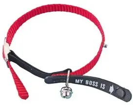 NOBBY  Adress-Katzenhalsband "My Boss is", rot, L: 20 - 30 cm; B: 10 mm