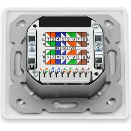 deleyCON 1x CAT6a Universal Netzwerkdose - 1x RJ45 Port - Geschirmt - Aufputz oder Unterputz - 10 Gigabit Ethernet Netzwerk - EIA/TIA 568A&B - Weiß