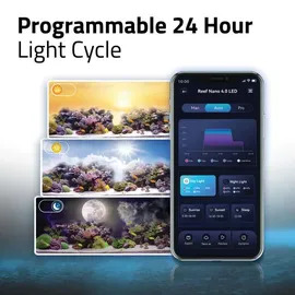 Fluval Nano Reef 4.0 Led 25W