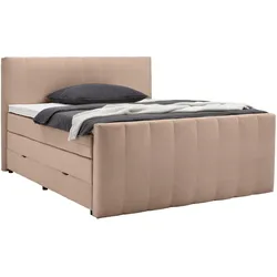 Boxspringbett Malaga Braun ca. 180x200cm