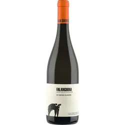 Azienda Agricola San Salvatore Falanghina 2023