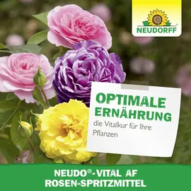 NEUDORFF Neudo-Vital AF Rosen-Spritzmittel 500 ml