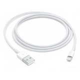 Apple Lightning auf USB Kabel (1 m)