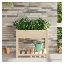 vidaXL Pflanzkasten mit Ablage 90 x 90 x 76 cm Beige