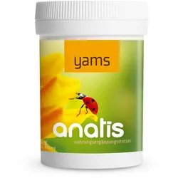 anatis Yams (90 Kps.)