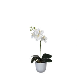 Mica Kunstpflanze Phalaenopsis im Topf weiß, 48 x13 cm