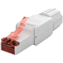 goobay CAT 6 RJ45-Stecker feldkonfektionierbar UTP ungeschirmt