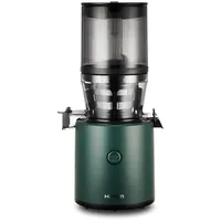 Hurom H320N Slow Juicer tiefgrün