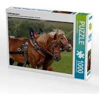 Calvendo Kaltblutgespann (Puzzle)