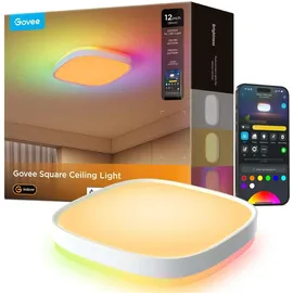 Govee 30 cm RGBWW RGBIC Wi-Fi Bluetooth 2400 lm weiß