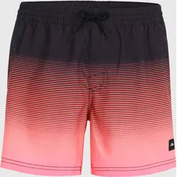 O'Neill Jack O'neill Cali Gradient 15'' Swim Shorts black simple gradient panel (29023) L