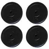 vidaXL Hantelscheiben 4 Stk. 20 kg