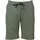 witeblaze Tech Shorts Grün 36