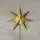 Star Trading Weihnachtsstern Antique Gold