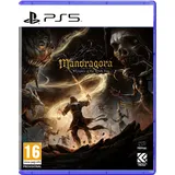 Mandragora: Whispers of the Witch Tree (PEGI) (PS5)
