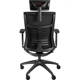 GENESIS Astat 200 G2 schwarz