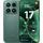 Xiaomi 17 512 GB Venture Green