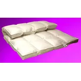 Betten Hofmann Premium 8cm Winter Hochsteg Daunendecke Bettdecke 4x6 Außensteg - 135 x 200 cm - weiß