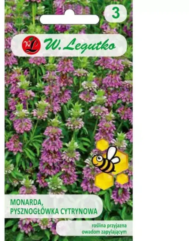 Monarda, Zitronen-Goldblume, purpur-violett