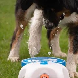 Coolpets Hundewasserbrunnen mit Pedal