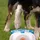 Coolpets Hundewasserbrunnen mit Pedal
