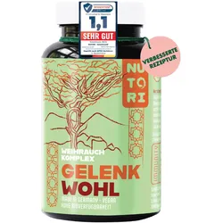 Gelenk Wohl + Abwehr Hilfe – Mit Vitamin C & Zink zur Unterstützung des Immunsystems 90 Kapseln