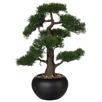 Creativ green Kunstpflanze CREATIV GREEN "Bonsai", grün, B:15cm H:37cm,