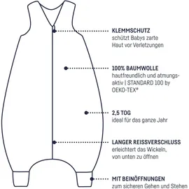 Julius Zöllner Zöllner Schlafoverall Jumper aus Jersey Baumwolle, Made in Germany, Little Dinos, 12-24 Monate / Gr. 80