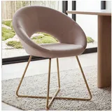 FineBuy Esszimmerstuhl Samt beige