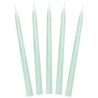 OEM Spitzkerze 24 cm 10 St. salbeigrün