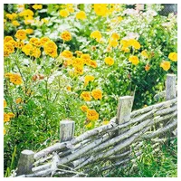 Home fashion Home Fashion®, Marigold, Lunch-Servietten aufgefaltetes Maß 33