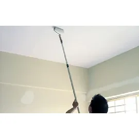 Owatrol Floetrol Weiß 2,5 l