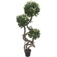 Europalms Ficus Multi Spiralstamm, 160cm