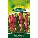 Quedlinburger Fuchsschwanz Rot